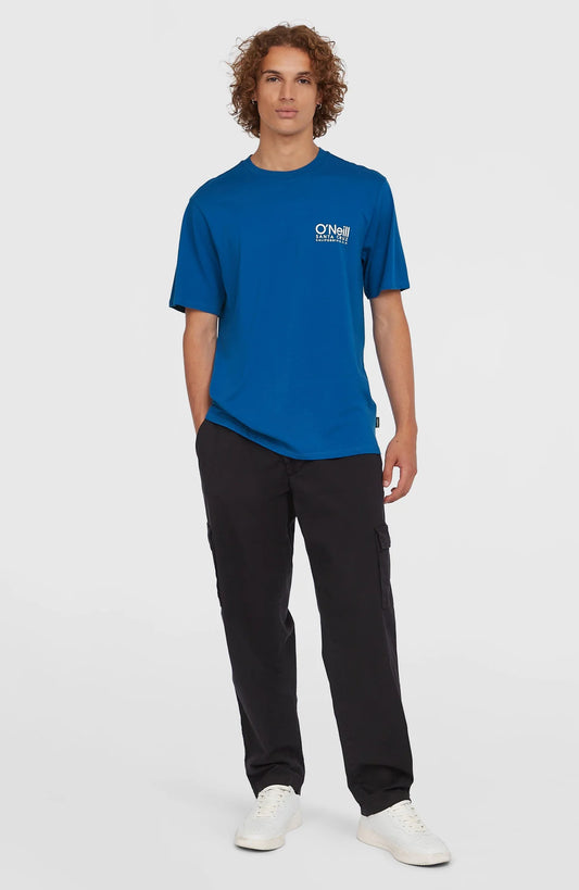 O´Neill Essential Cargo Pants Black