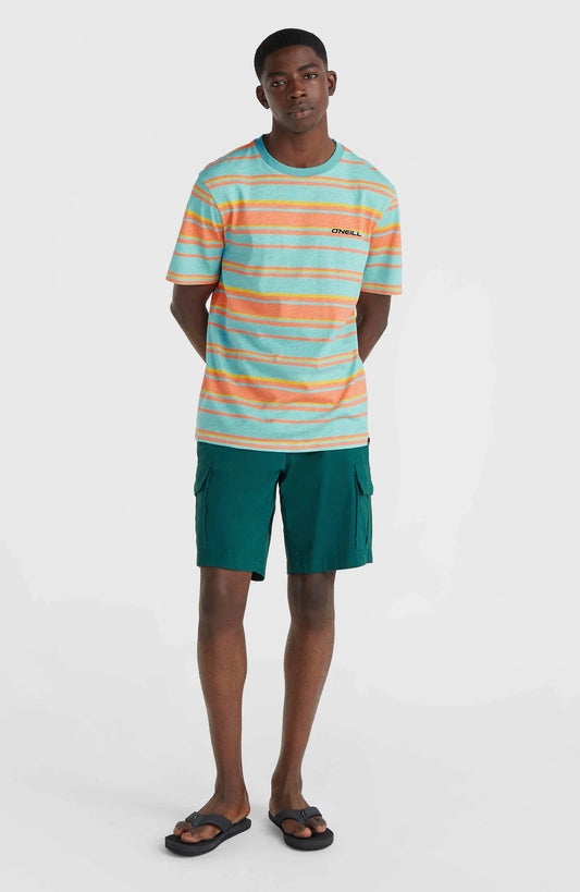 O'Neill Mix & Match Cargo Shorts Beetle Juice