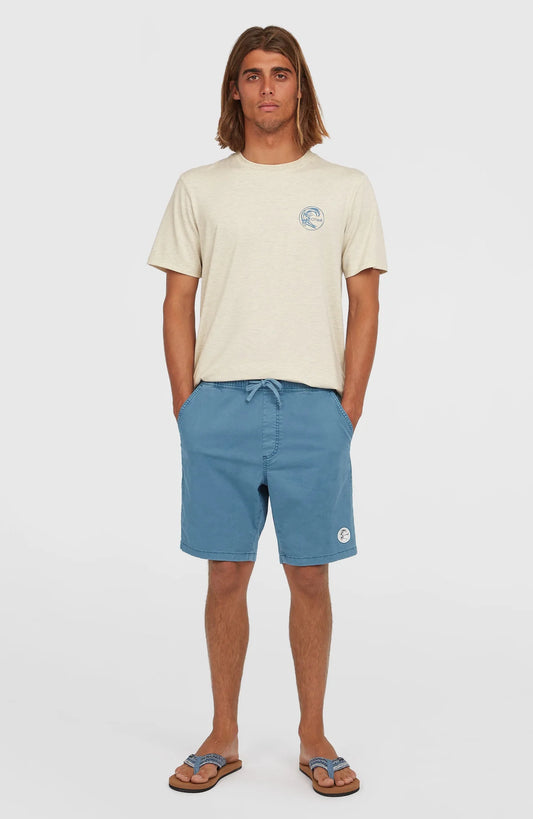 O'Neill O´Riginals Walk Shorts