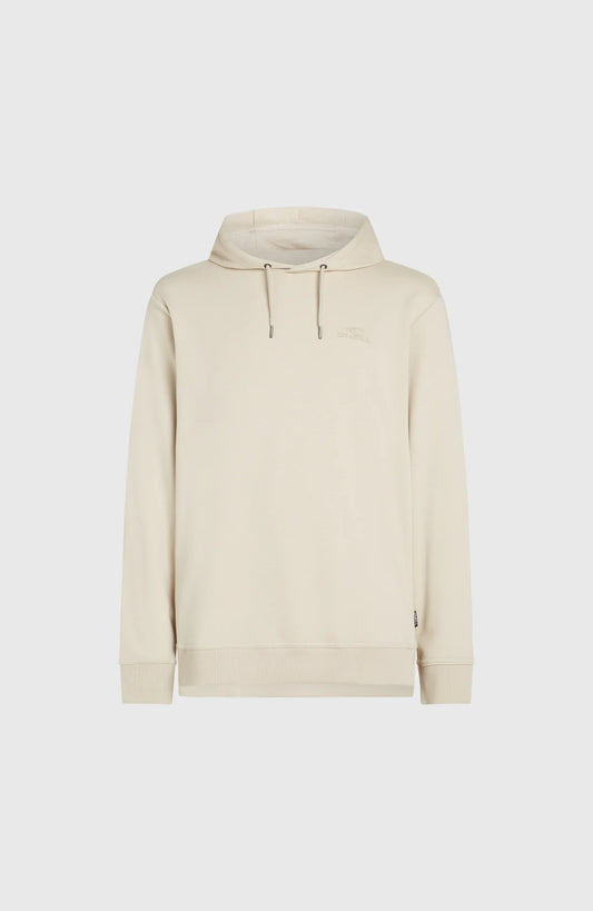 O'Neill Small Logo Hoodie