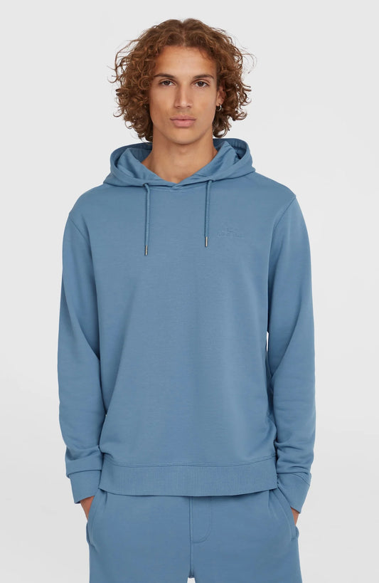 O'Neill Men Small Logo Hoodie