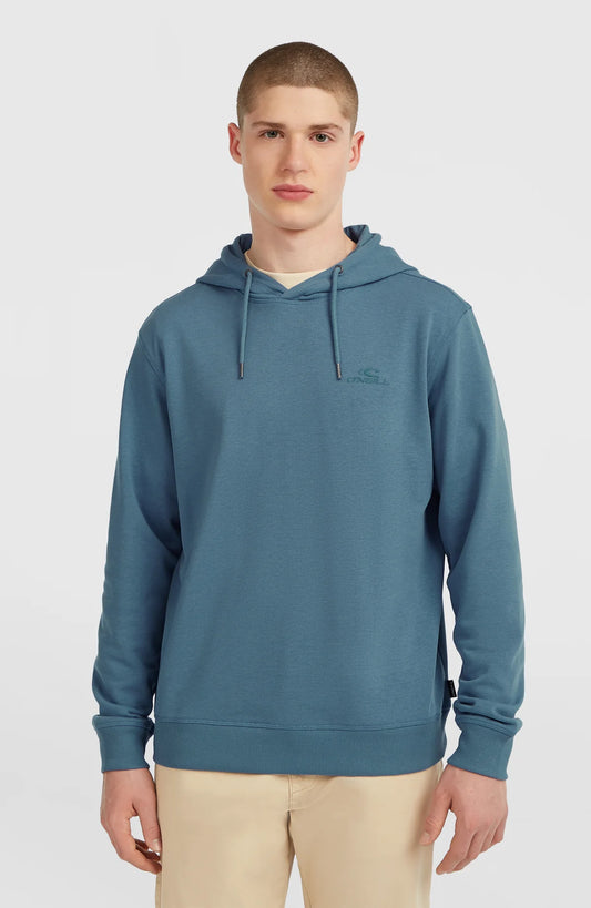 O'neill Men Small Logo Hoodie | Blue
