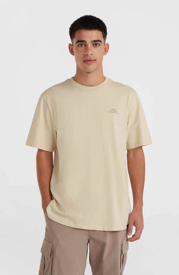 O'neill Small Logo T-Shirt