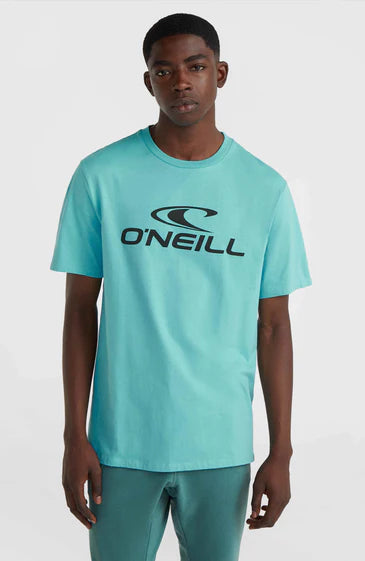 O'Neill Logo T-Shirt Blue
