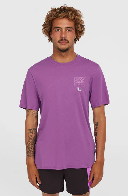 O´Neill Retro Graphic T-Shirt Sweet Grape