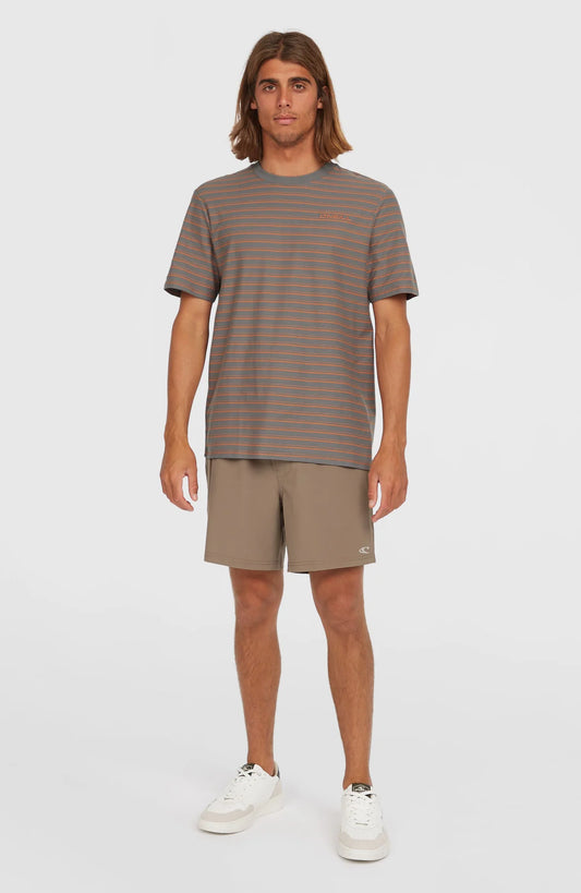 O'Neill Yarn Stripe T-shirt Grey