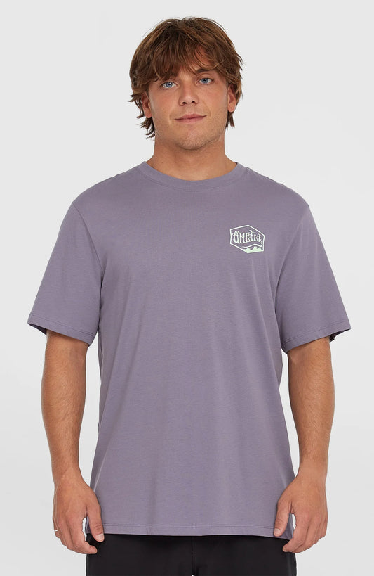 O'Neill Men Box Logo T-Shirt