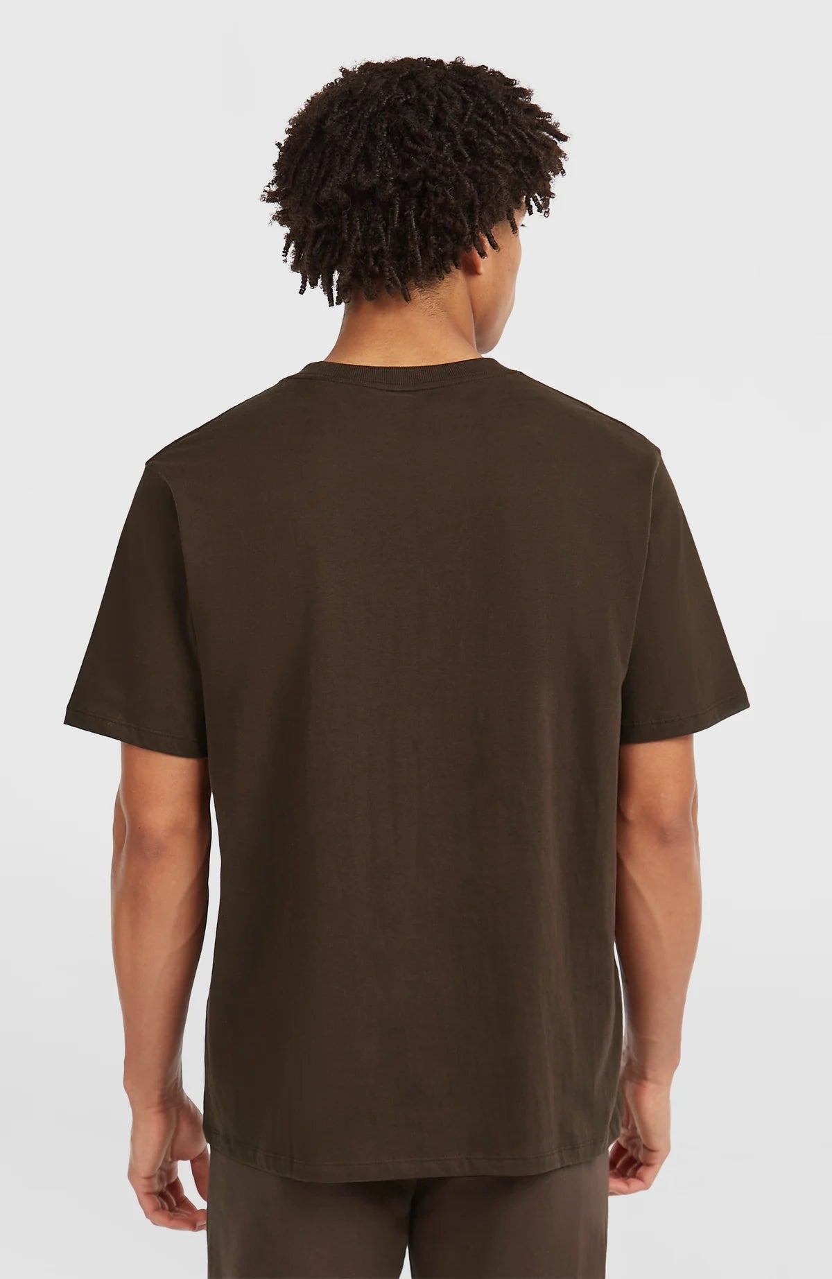 O'neill Men Future Surf Society T-Shirt | Brown