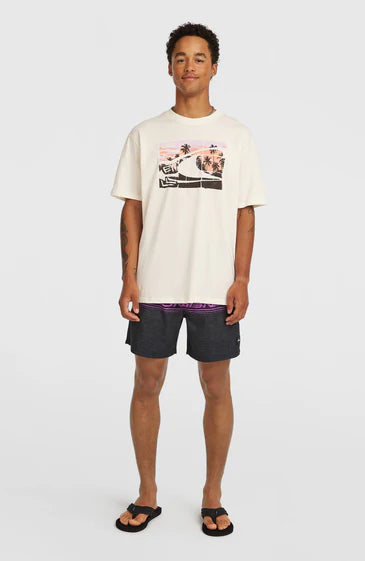 O´Neill Gradient T-shirt White