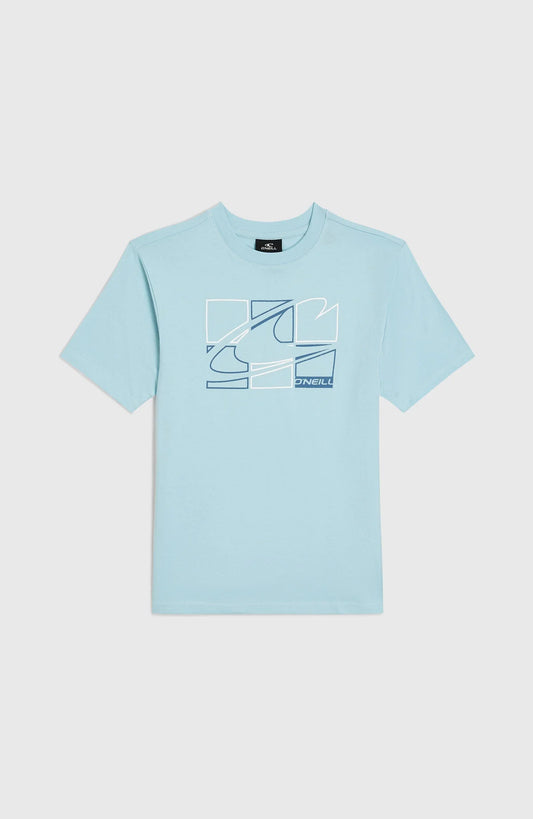 O'neill Kids Graphic T-Shirt | Blue