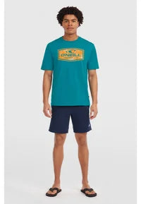 O'Neill GRAPHIC - Camiseta estampada - island breeze