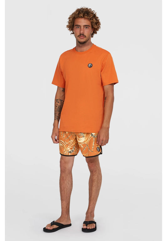 O'Neill O'Riginal Badge T-Shirt