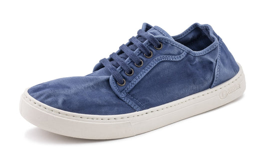 Natural World Narciso 6602E - 628 Mar