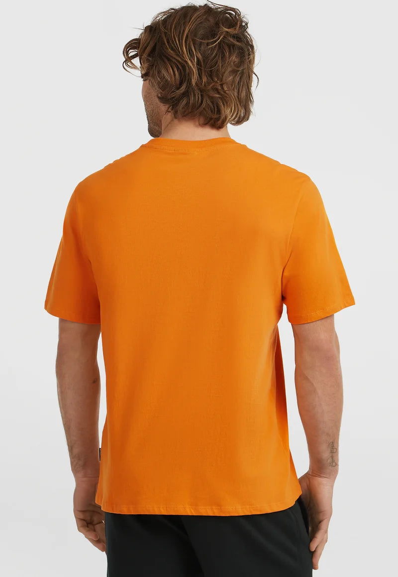 O'Neill GRAPHIC - Camiseta estampada -Mango