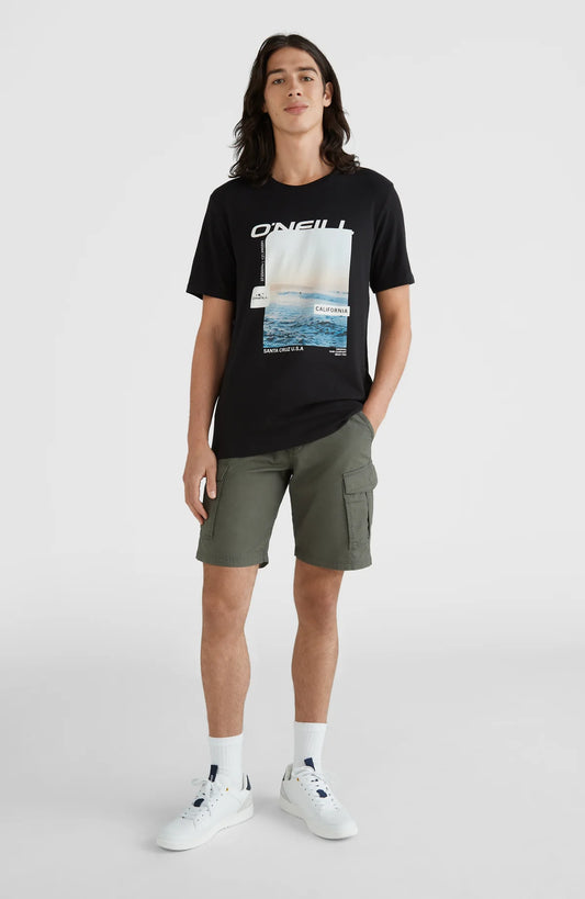O´Neill Beach Break Cargo Shorts