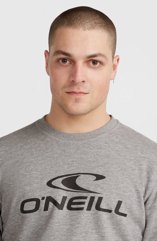 O'NEILL LOGO CREW - Wear Man - Silver Melee -