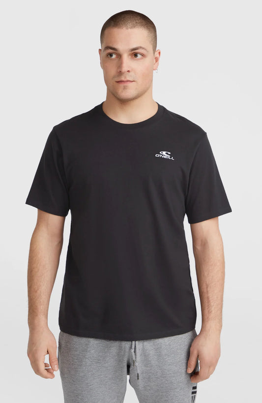 O´Neill Small Logo T-Shirt
