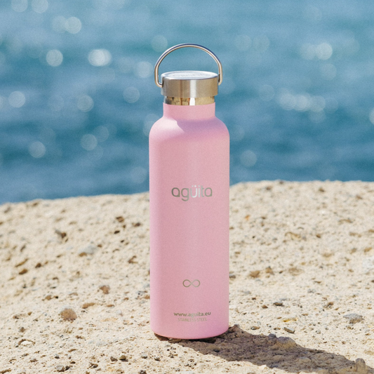 Agüita Botella Térmica 750ml