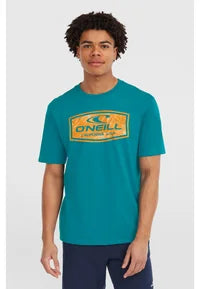 O'Neill GRAPHIC - Camiseta estampada - island breeze