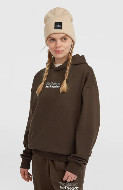 O'neill  Future Surf Society Hoodie | Brown