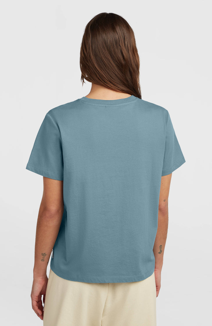 O'Neill Must Have T-shirt Murky Water