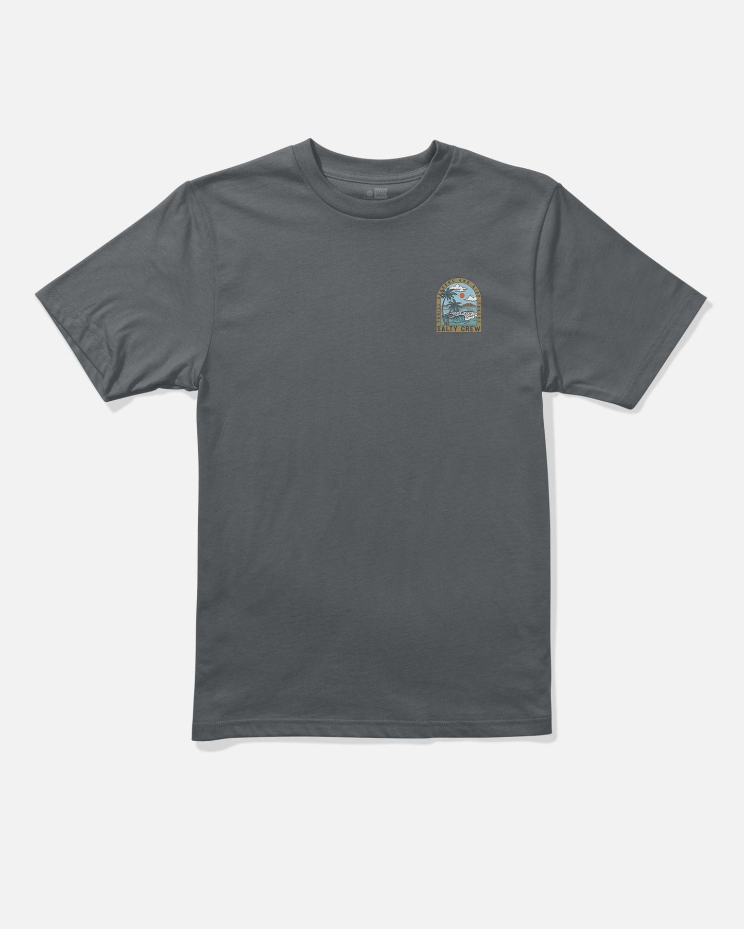 Salty Crew Archway Boys SS Tee - Grey