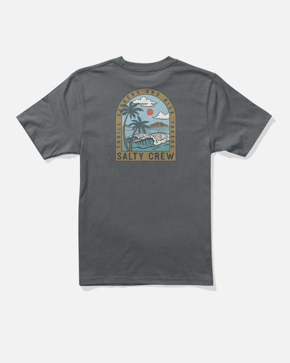 Salty Crew Archway Boys SS Tee - Grey