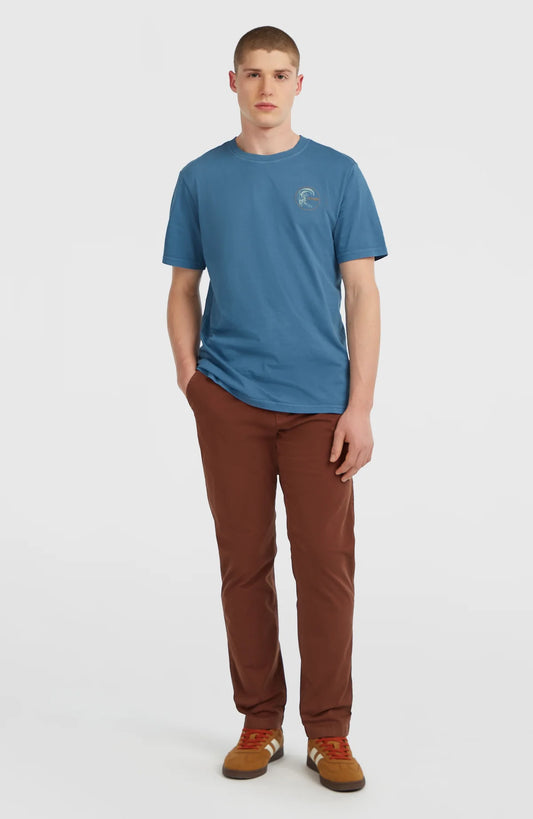 O´Neill Essentials Chino Pants Hazel