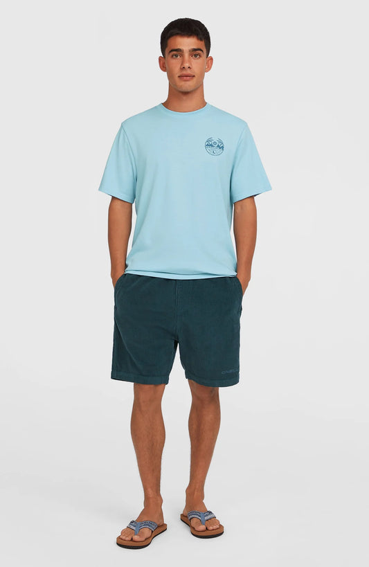 O´Neill Cord Shorts Alma Steel