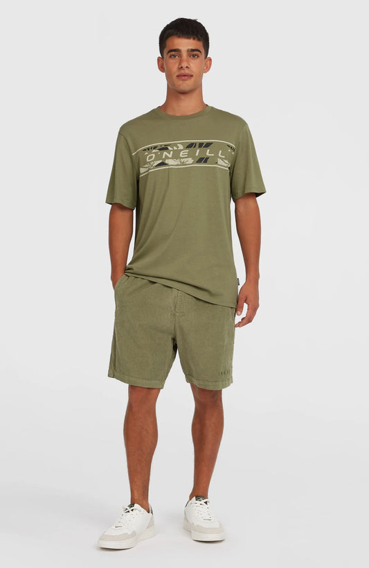 O´Neill Cord Shorts Avery Fern