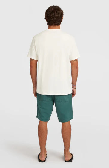 O'Neill O'riginal Shorts Botanical Heat