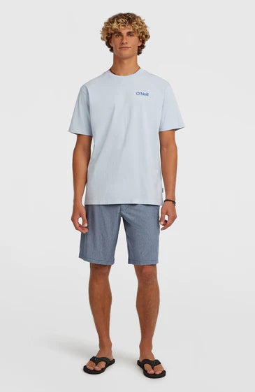 O'Neill Men Hybrid 19" Melange Shorts