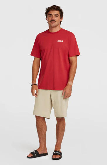 O'Neill Men Hybrid 19" Melange Shorts