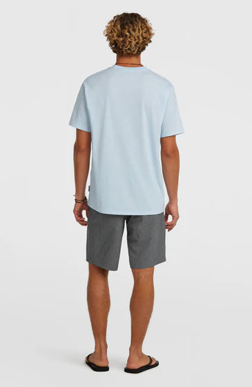 O'Neill Men Hybrid 19" Melange Shorts