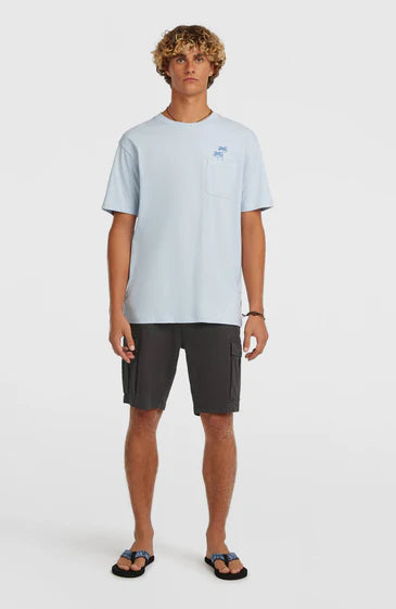 O'Neill Essential Cargo Shorts Raven