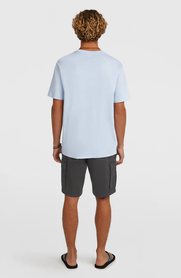 O'Neill Essential Cargo Shorts Raven