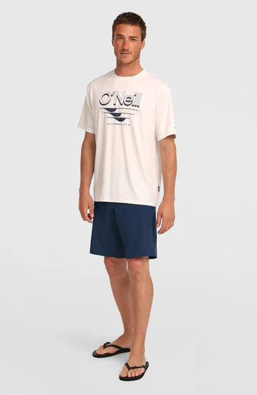 O'Neill Men Hybrid 19" Shorts English Evening