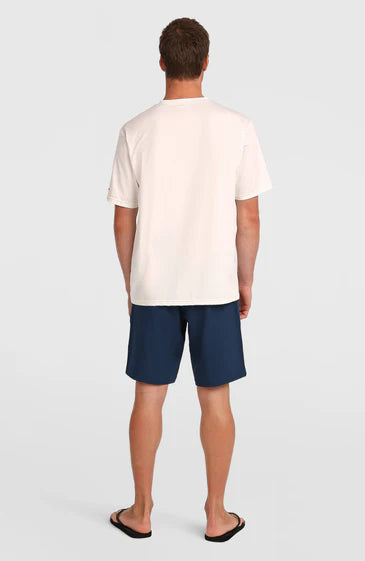 O'Neill Men Hybrid 19" Shorts English Evening