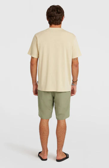O'Neill Men Hybrid 19" Shorts