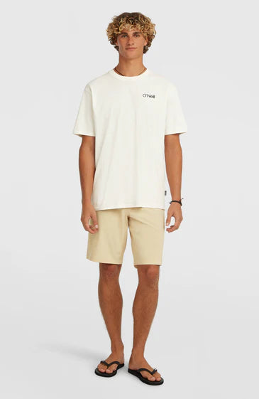 O'Neill Men Hybrid 19" Shorts Cocoa Sand