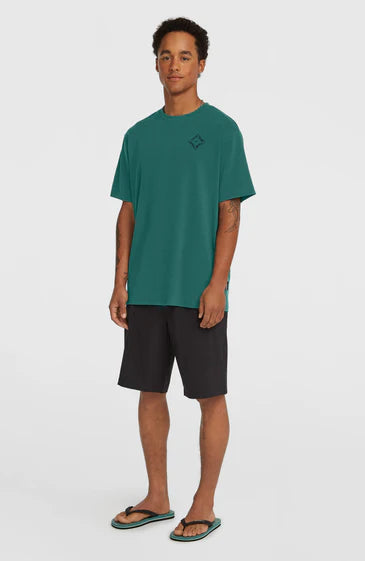 O'Neill Men Hybrid 19" Shorts Black