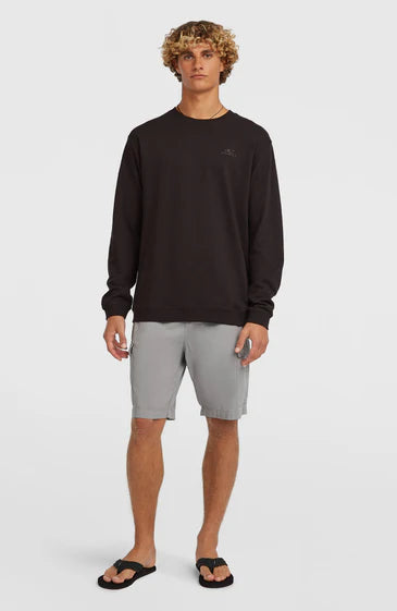 O´Neill Essentials Rip Stop Cargo Pants Brushed Aluminium
