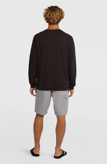 O´Neill Essentials Rip Stop Cargo Pants Brushed Aluminium