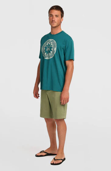 O'neill Essential Chino Shorts Avery Fern