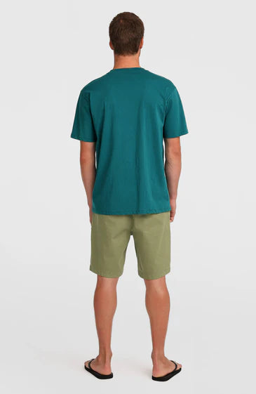 O'neill Essential Chino Shorts Avery Fern