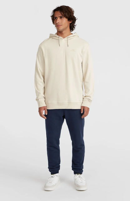 O'Neill Small Logo Hoodie
