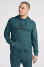 O'Neill Logo Hoodie
