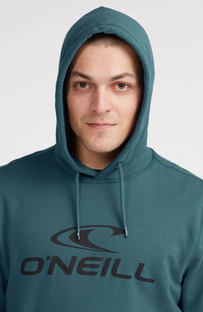 O'Neill Logo Hoodie
