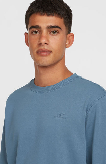 O'Neill Hoodie Logo Crew