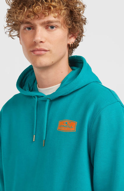 O´Neill Graphic Hoodie Island Breeze